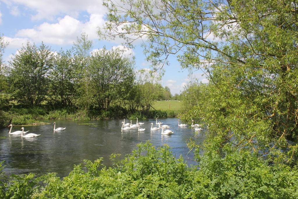 Hotel The Swan At Stoford à Stapleford  Extérieur photo