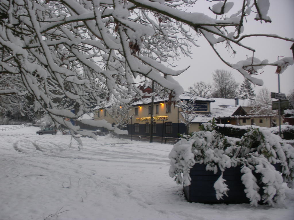 Hotel The Swan At Stoford à Stapleford  Extérieur photo